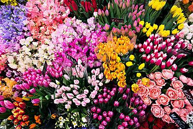 蓝精灵游戏新作泄露登陆全平台 主机版售价49.99欧